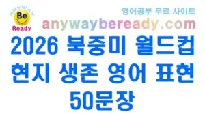 2026 북중미 월드컵 현지 생존 영어 표현 50 문장